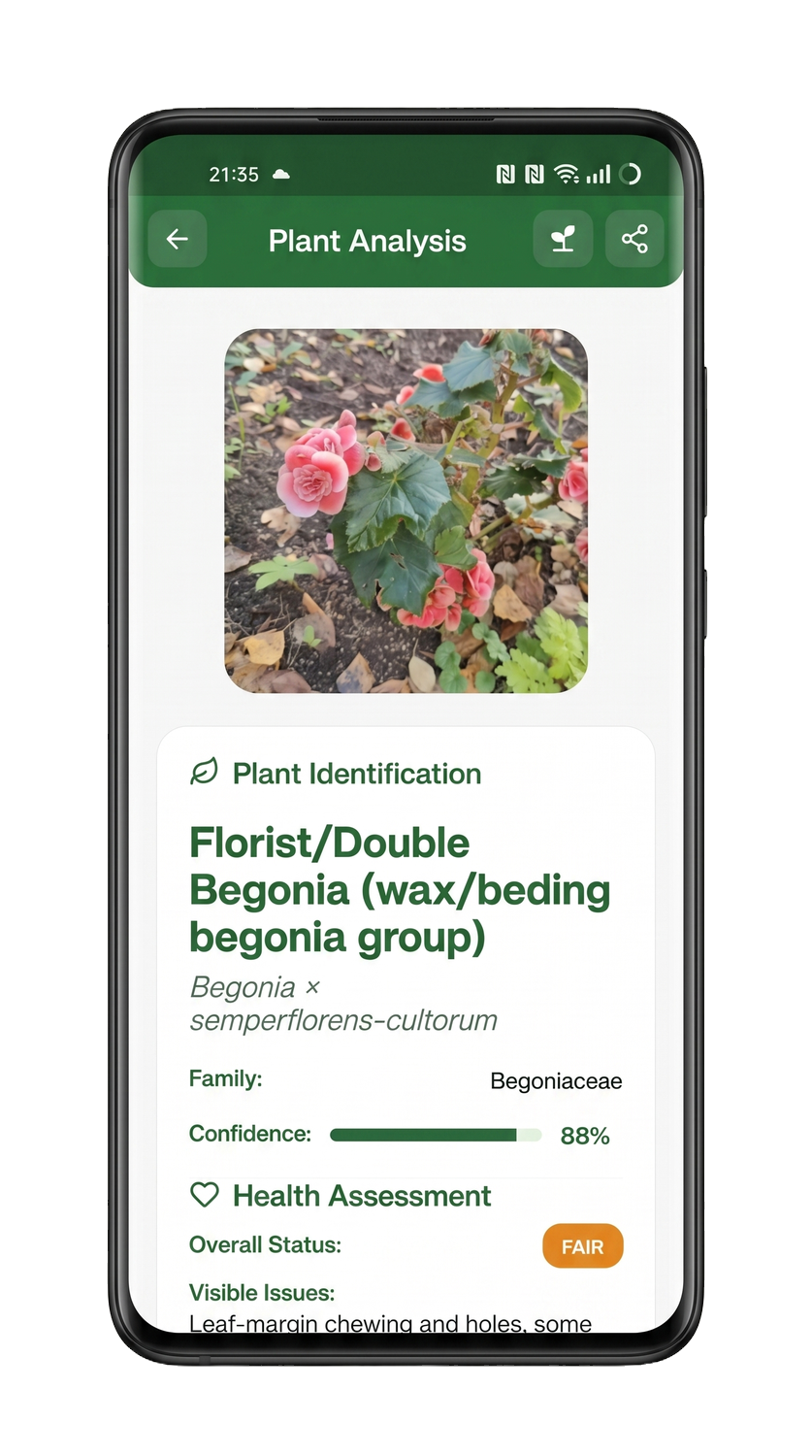PlantFocus app preview