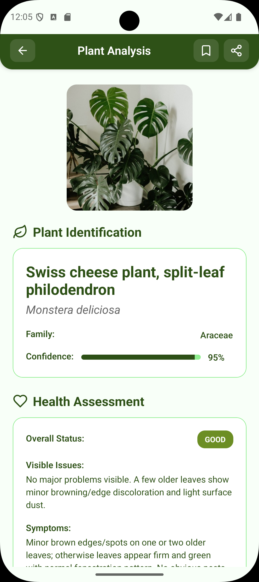 Plant identifications hero preview