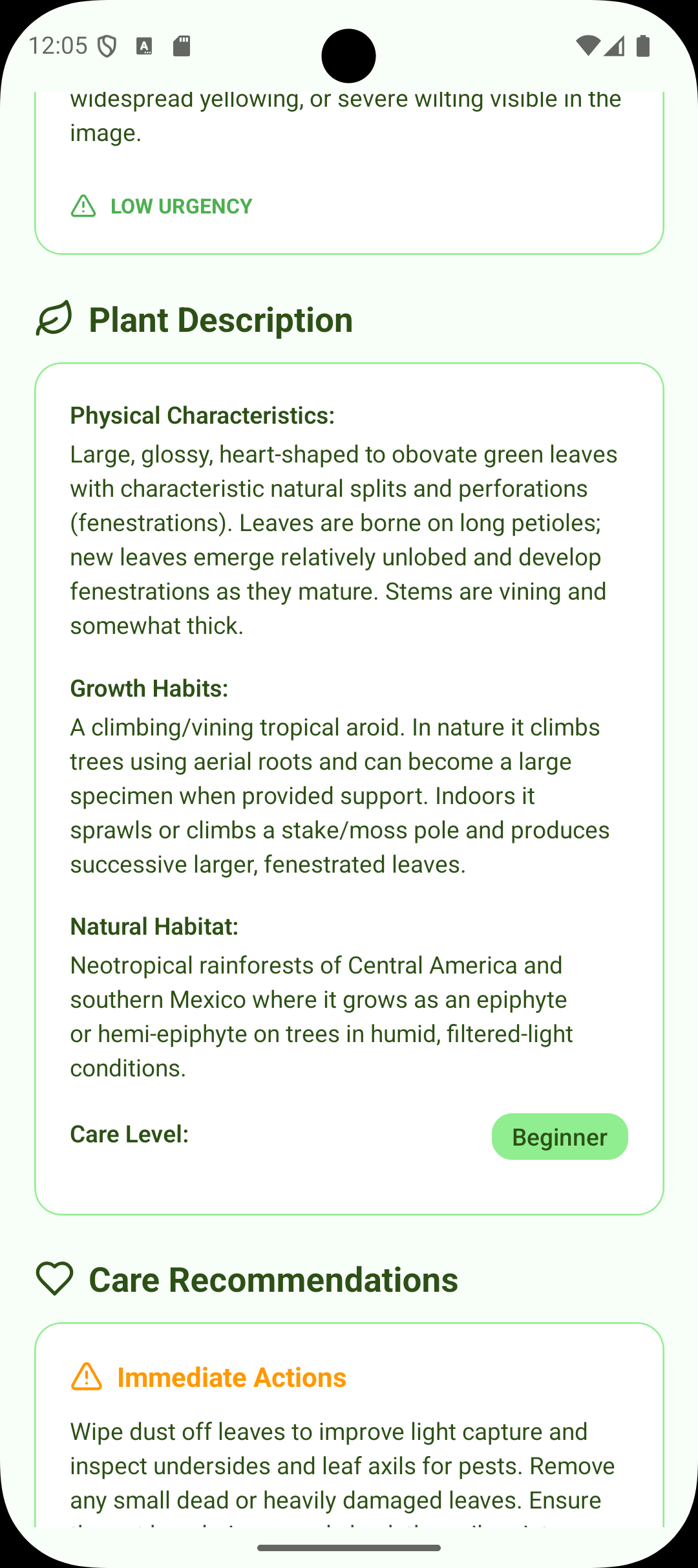 Plant description