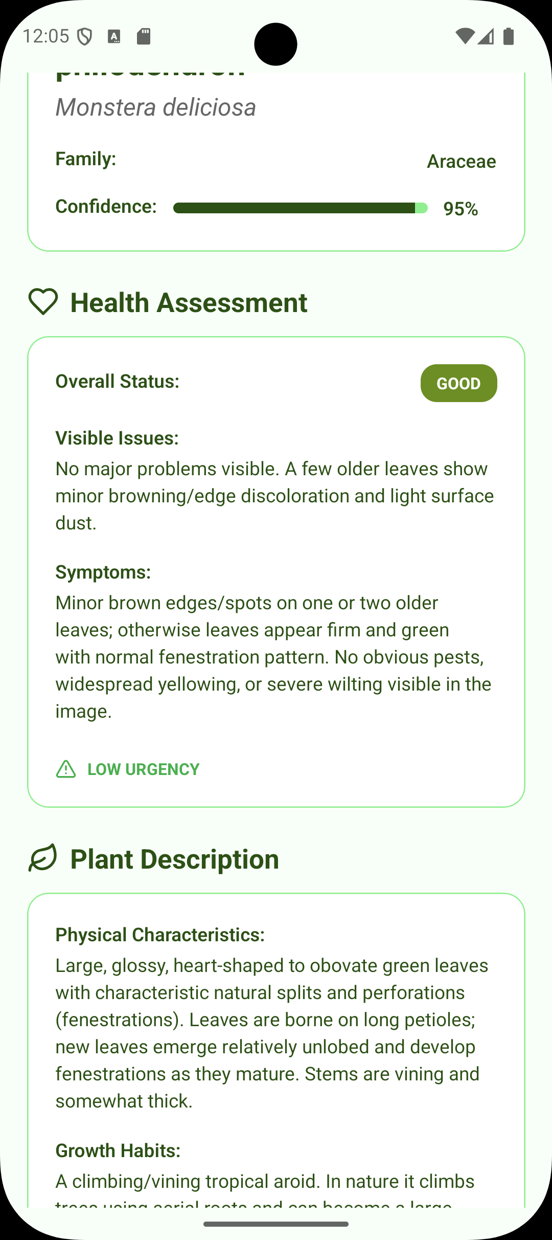 Plant health assessment – detect issues