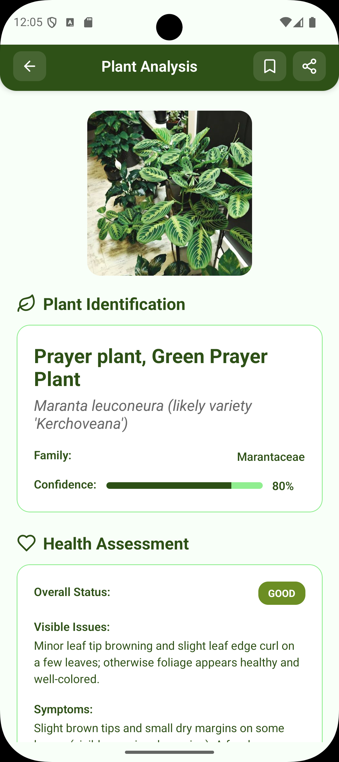Plant identification step 1 – Snap a photo