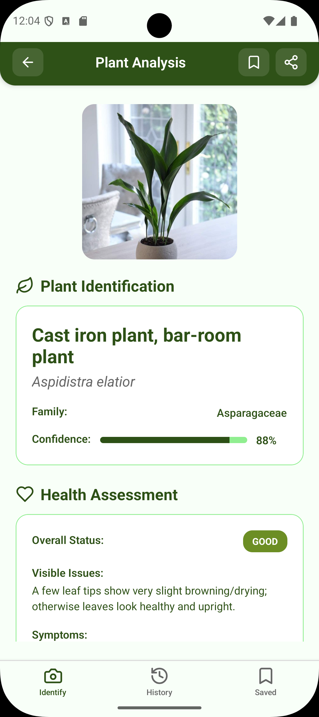 Plant identification step 2 – Instant identification results