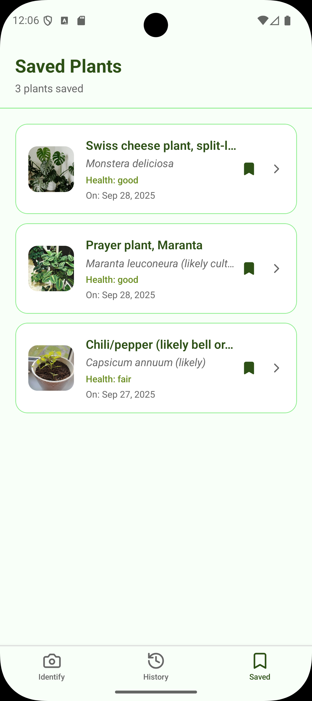Saved plants